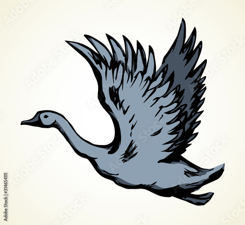 Goose in flight. Vector drawing
