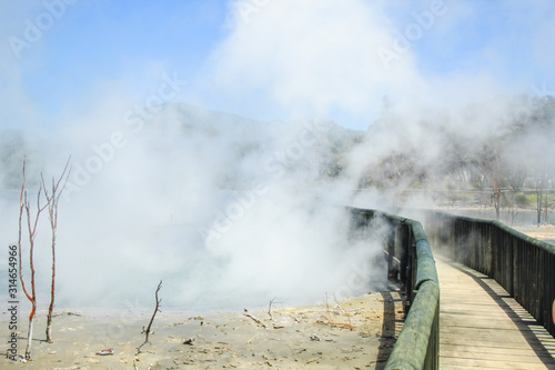 Geothermal pool at Kuirau Park  in Rotorua, North Island, New Zealand photo