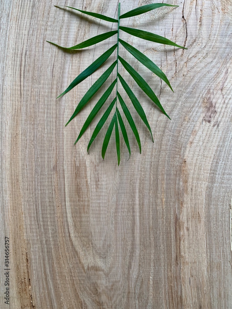 Wood grey and brown texture as a photophone for holidays and finishing with green leaves Wood grey and brown texture as a photophone for holidays and finishing with green leaves