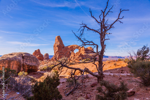 Panoramic picture of natural and geological wonders of Arches national park in Utah in winter © Aquarius
