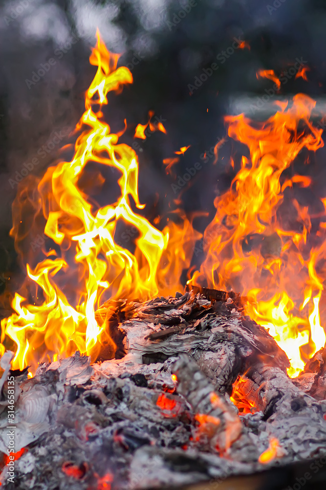 Bonfire at a camp in summer evening outdoors
