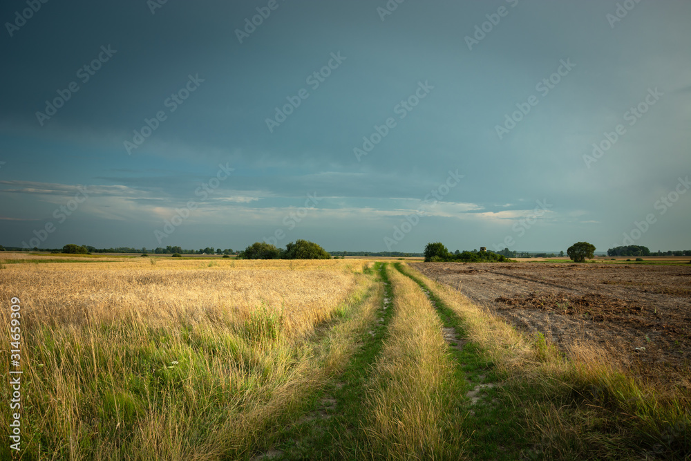 Dirt road through fields and meadows