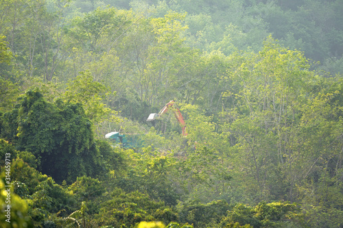 Tractors and loggers in the forest on the mountain photo