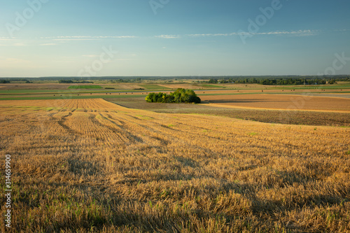 Panorama of farmland  horizon and sky