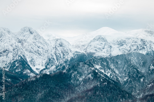 landscape mountains forest and snow
