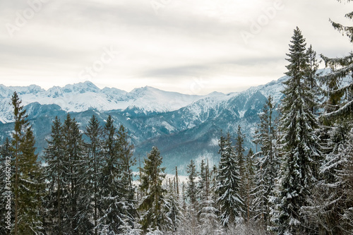 landscape mountains forest and snow