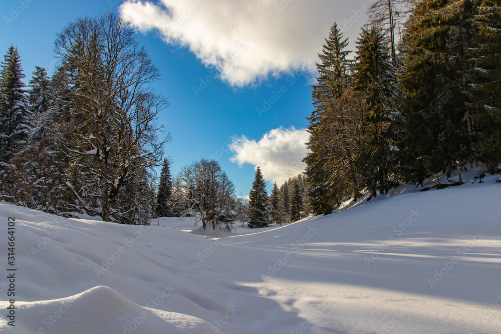 Fototapeta premium Wunderschöne Winterlandschaft mit Neuschnee in den Alpen