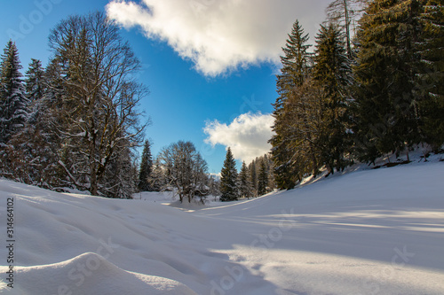 Wundersch  ne Winterlandschaft mit Neuschnee in den Alpen