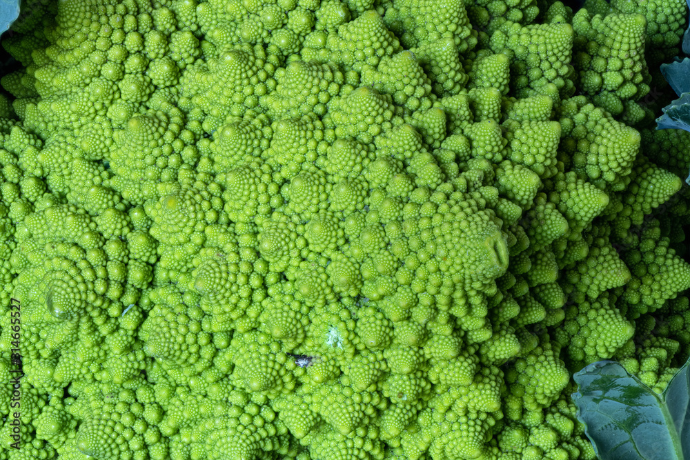 Fractal food.  Self similar shapes in Nature.  The Roman Broccoli