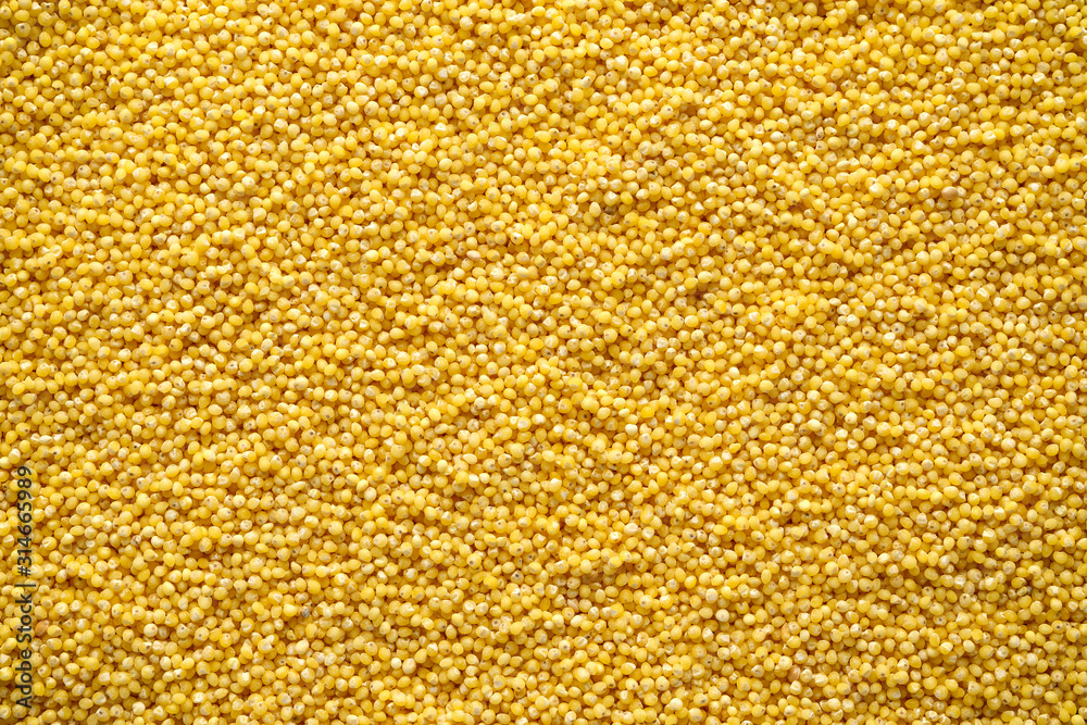 Millet cereal grains closeup background. Organic concept