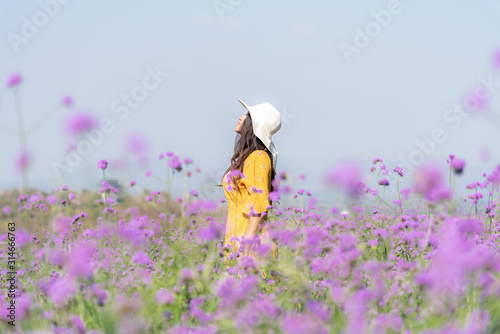 Traveler or tourism Asian women standing and chill in the purple  verbena flower field in vacations time.  People  freedom and relax in the spring  meadow.  Lifestyle Concept