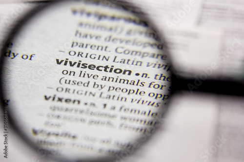 Word or phrase Vivisection in a dictionary. photo