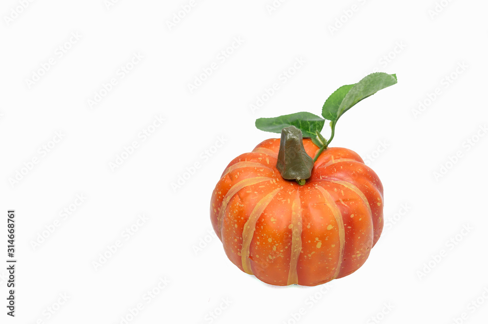 Obraz premium One pumpkin on a white scene