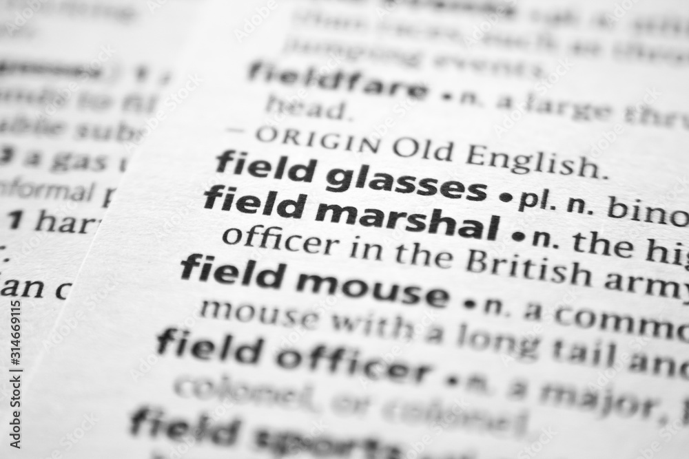 Word or phrase Field marshal in a dictionary. Word or phrase Field marshal in a dictionary.