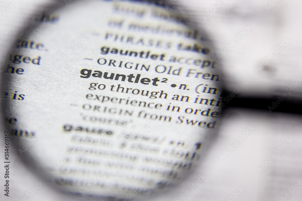 custom made wallpaper toronto digitalWord or phrase Gauntlet in a dictionary.