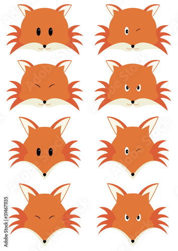 Expressions renardeau et renard