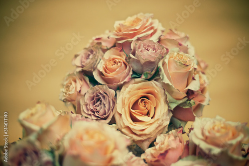 Fototapeta Naklejka Na Ścianę i Meble -  Beautiful roses up close