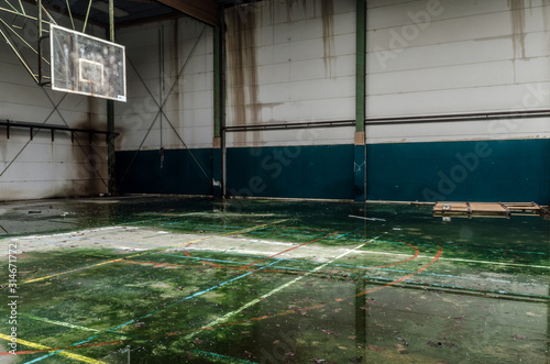 Fototapeta Naklejka Na Ścianę i Meble -  Abandoned sports hall with rich green and grey shades, basketball ring in background..