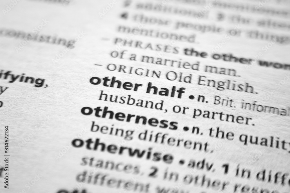 Word or phrase Other half in a dictionary. Word or phrase Other half in a dictionary.