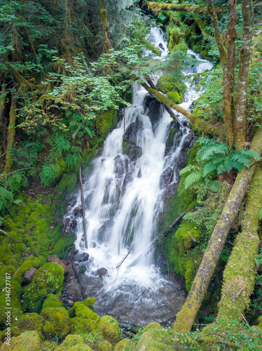 Pretty Little Creek Falls with branches and bright green leaves and moss covered logs cascading in the gifford pinchot national forest skamania county in a lush scenic green pool during the summertime photo