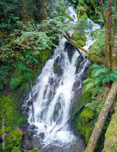 Pretty Little Creek Falls with branches and bright green leaves and moss covered logs cascading in the gifford pinchot national forest skamania county in a lush scenic green pool during the summertime photo