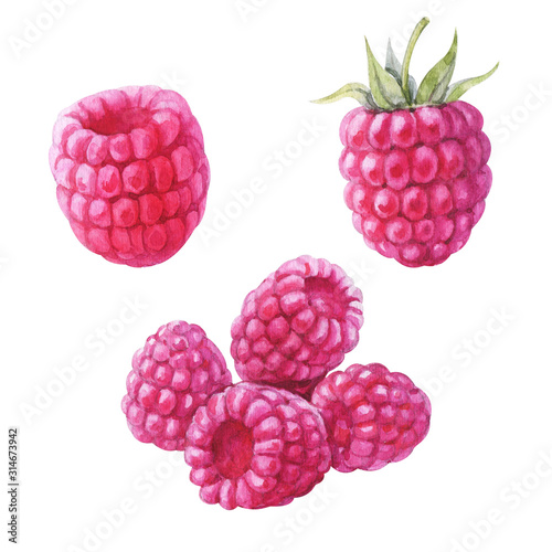 Handdrawing watercolor raspberry set isolated on white background