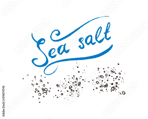 Calligraphic lettering Sea salt. Powdered powder and bunch of seeds. Vintage background poster. Engraved hand drawn sketch. 