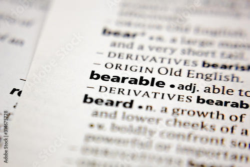 Word or phrase bearable in a dictionary. photo