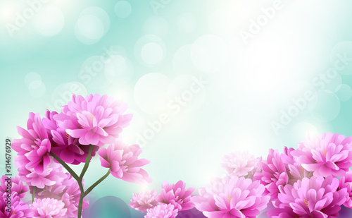 Beautiful pink flowers blooming on blue light bokeh background. Happy Valentines Day. Happy womens day © pickup