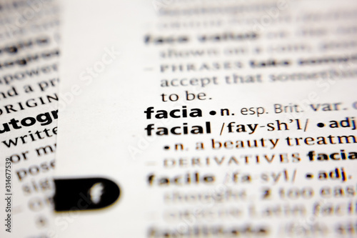 Word or phrase facia in a dictionary. photo