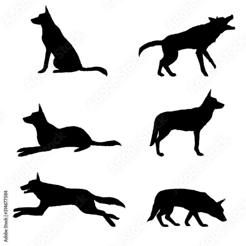 Vector Set of Silhouette German Shepherd Dogs