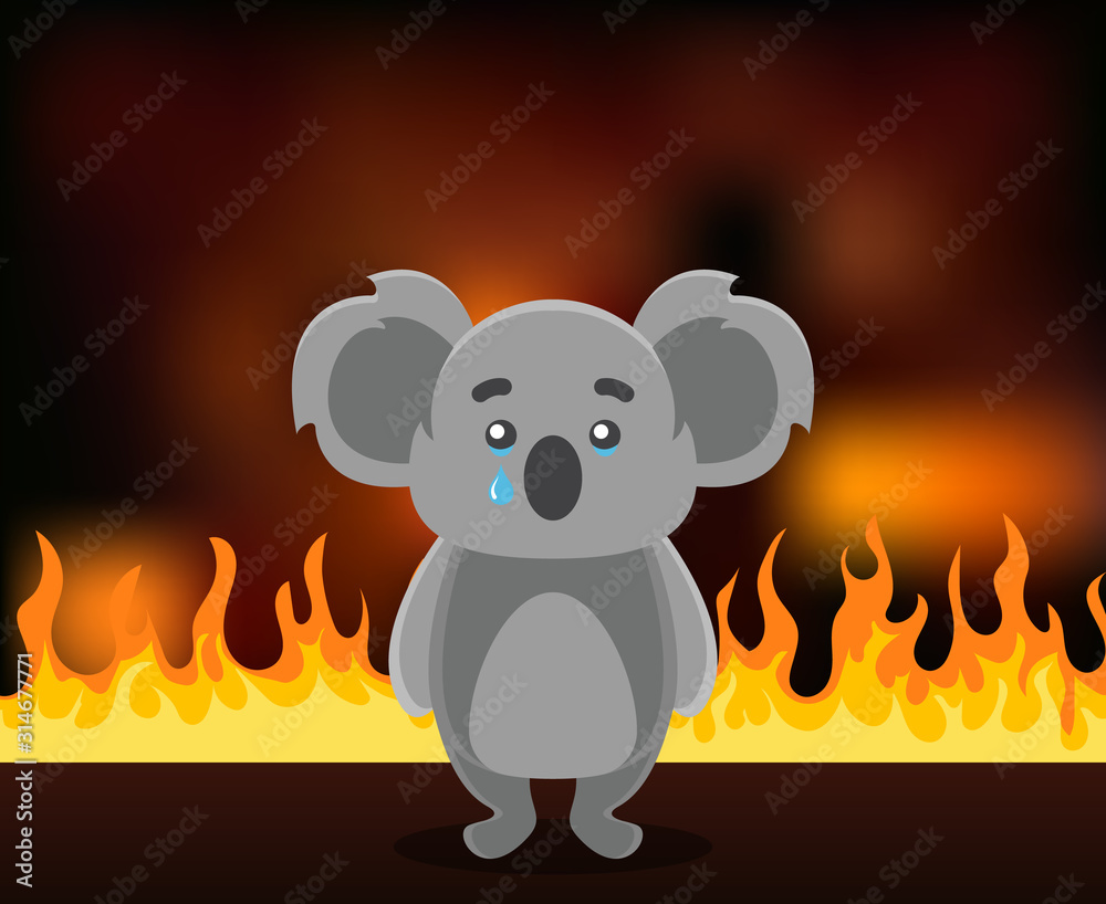 animal koala on fire. sad koala crying, burning forest of Australia.  environmental issues of planet Earth Stock Vector | Adobe Stock