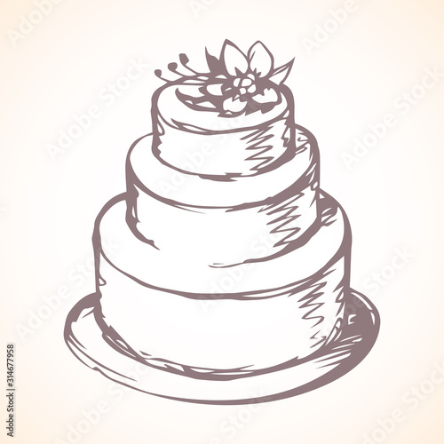 Big tasty cake. Vector drawing © Marina
