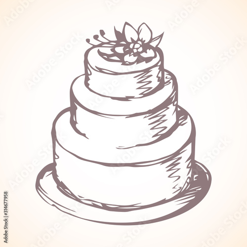 Big tasty cake. Vector drawing