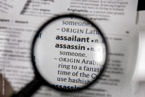 The word or phrase assassin in a dictionary.