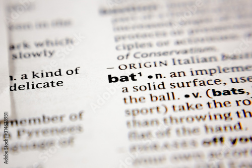 Word or phrase bat in a dictionary.