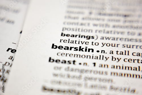 Fotografie Word or phrase bearskin in a dictionary.