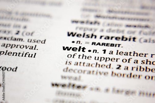 Word or phrase welt in a dictionary.