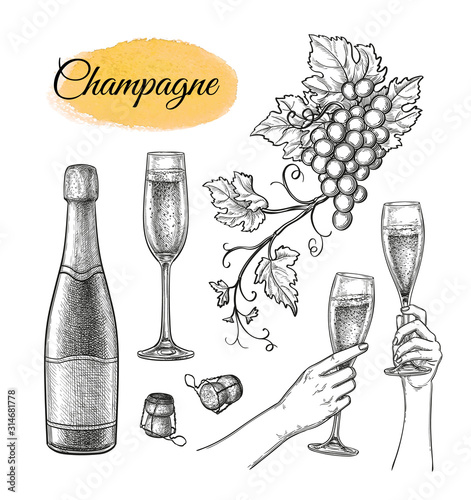 Champagne sketch set.