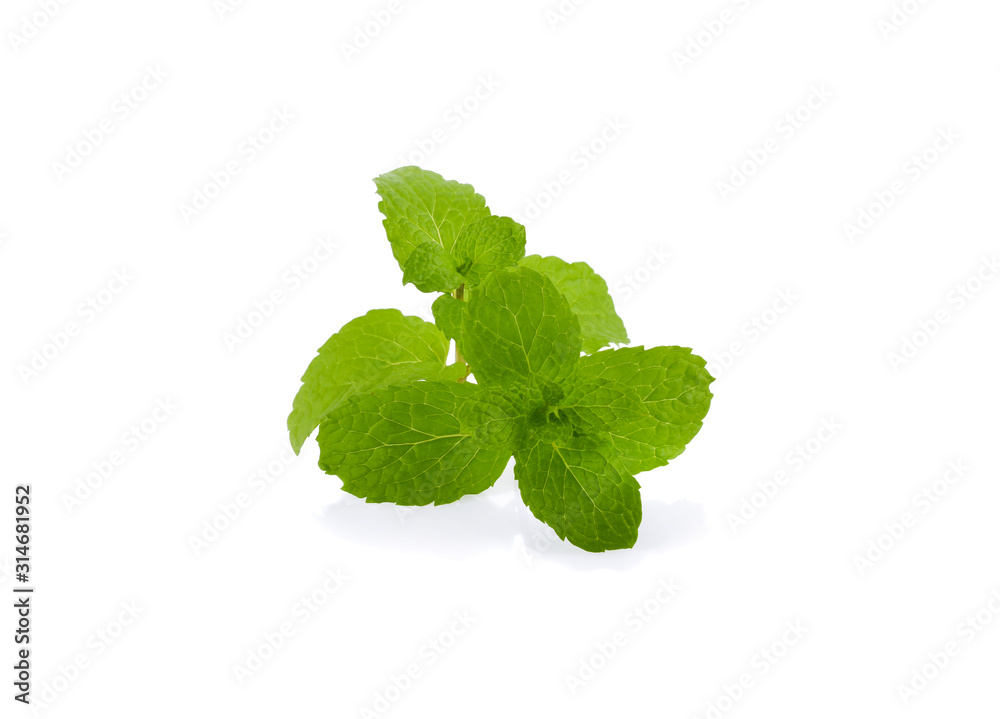 Mint leaves isolated on white background. Mint leaves isolated on white background.