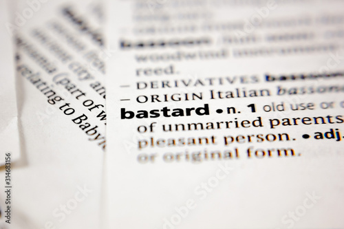 Tableau sur toile Word or phrase bastard in a dictionary.