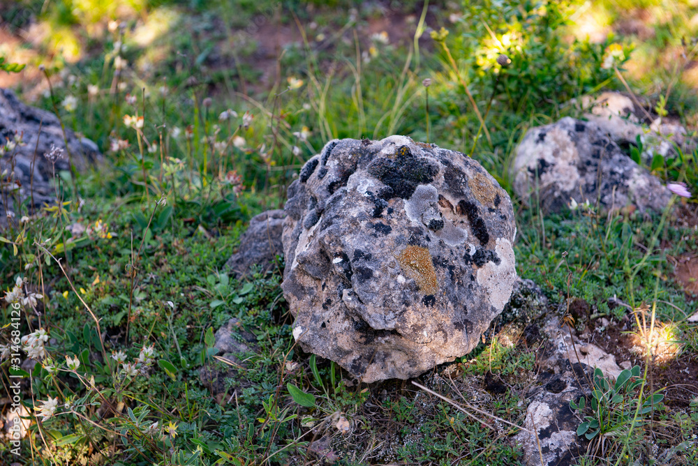Rocher rond avec de la mousse, probablement du granit. Round boulder with moss, probably granite Rocher rond avec de la mousse, probablement du granit. Round boulder with moss, probably granite