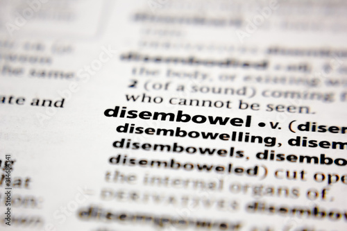 Word or phrase disembowel in a dictionary. photo