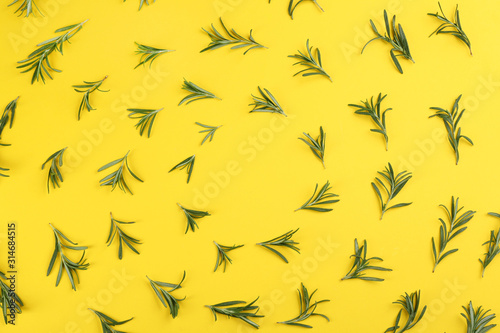 Frame made of fresh rosemary on yellow background, flat lay