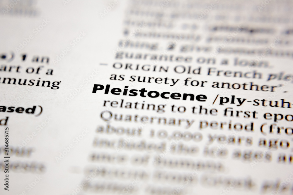 Word or phrase Pleistocene in a dictionary. Word or phrase Pleistocene in a dictionary.