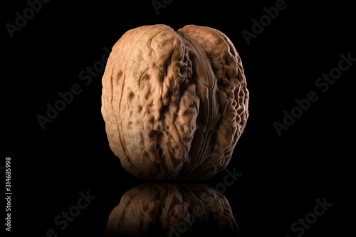 Macro photo of whole walnut with reflection isolated on a black background