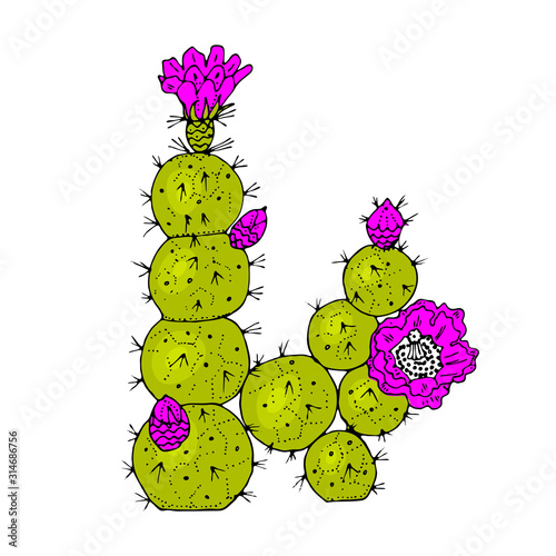 Home cactus plants or flower. Cozy cute element. Exotic or tropical succulent with prickles. Engraved hand drawn in old sketch and vintage doodle style.