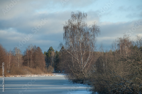 Russian winter landscape with trees and frozen pond on a sunny day