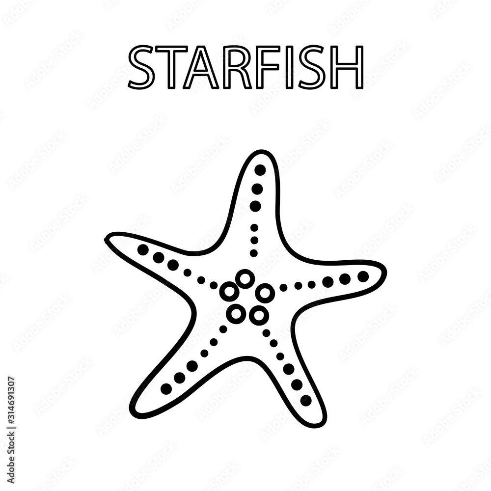 Obraz premium Starfish on white background