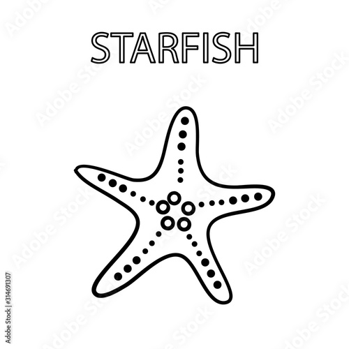 Starfish on white background